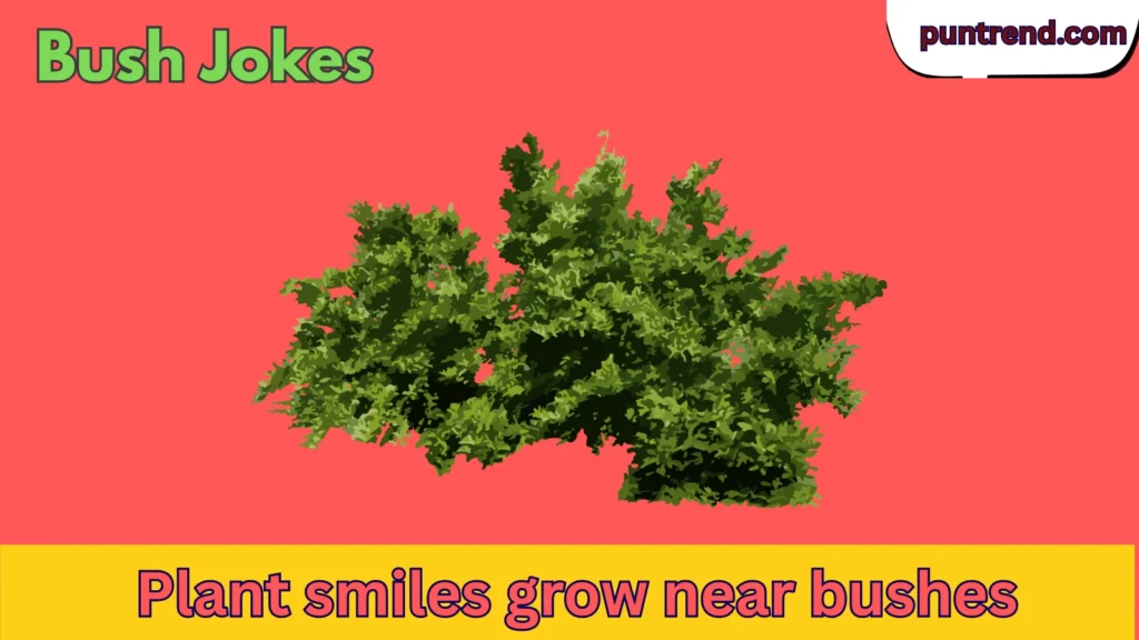 Bush Jokes