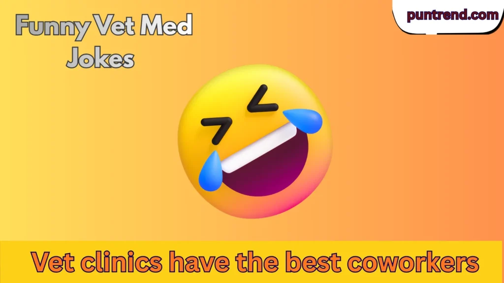Funny Vet Med Jokes