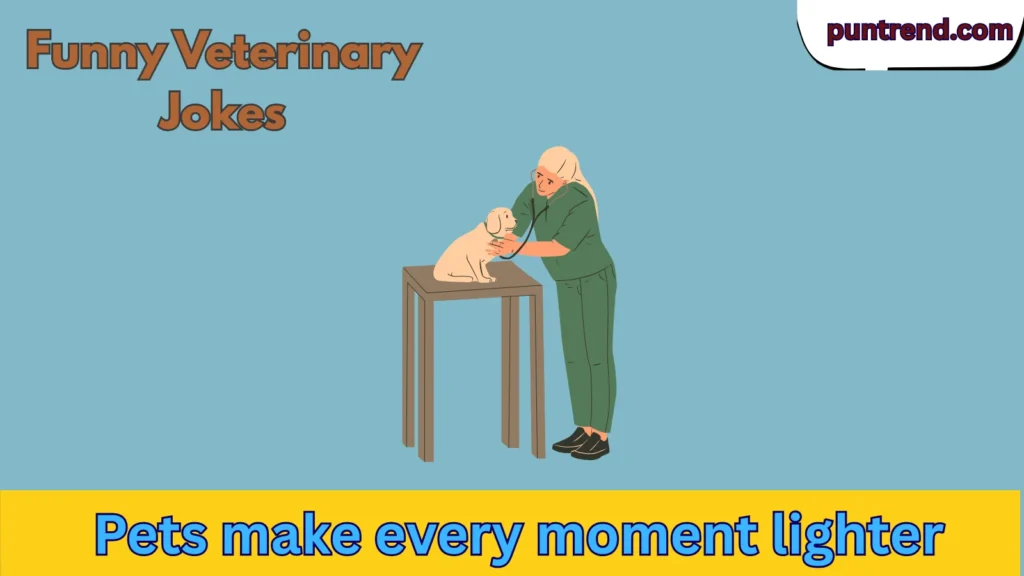 Funny Veterinary Jokes