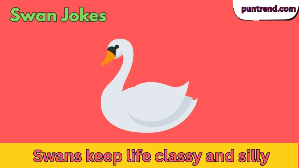 Swan Jokes