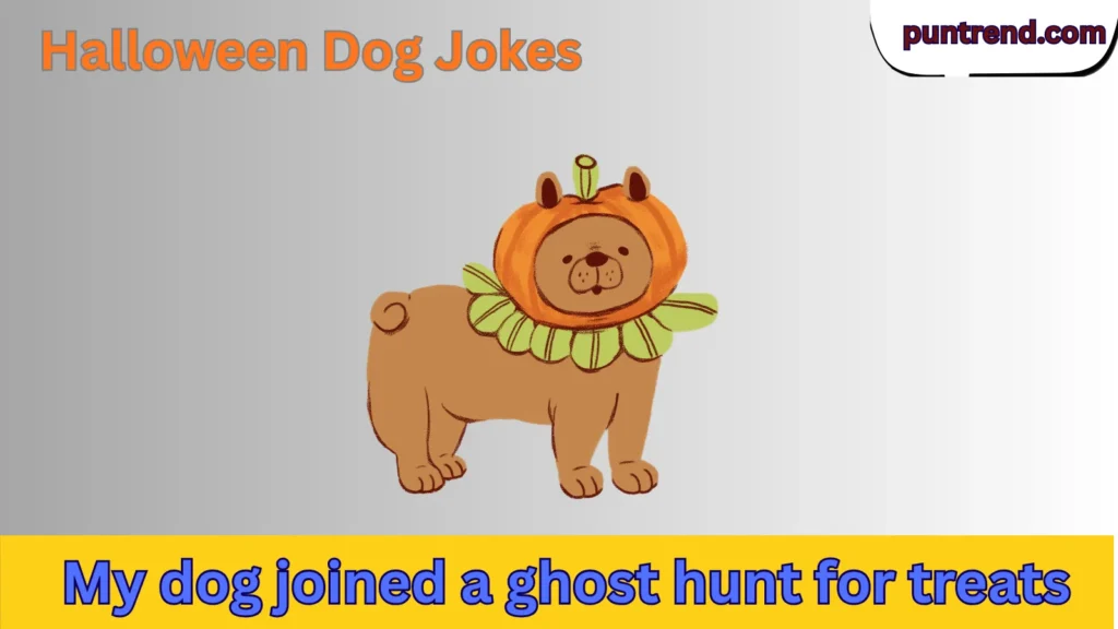 Halloween Dog Jokes