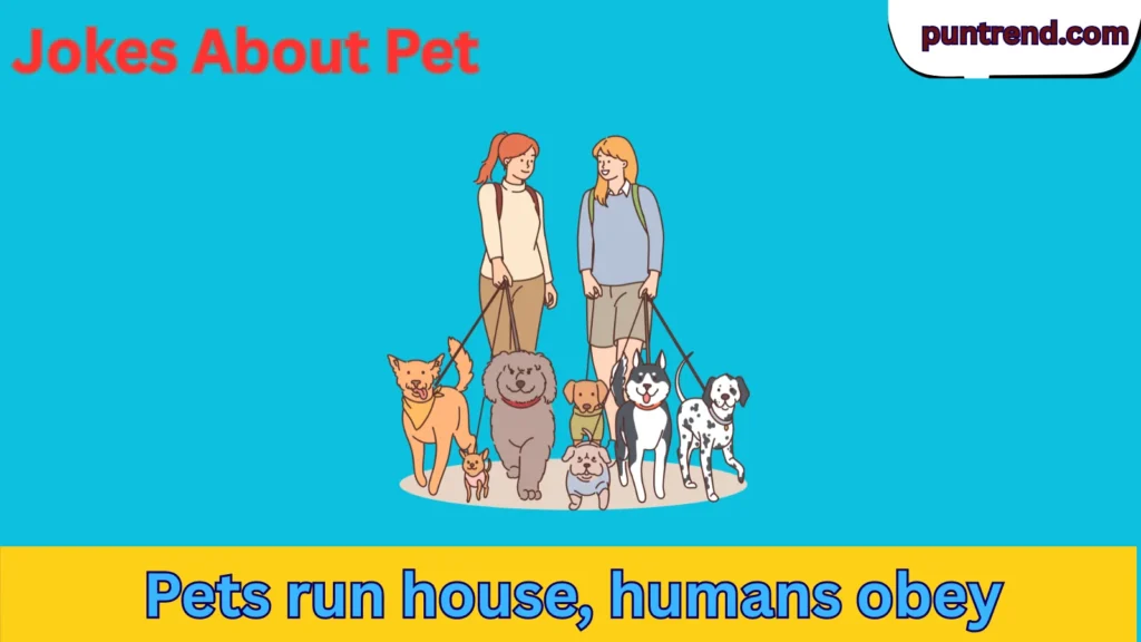 Jokes About Pet