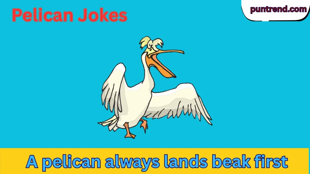 Pelican Jokes